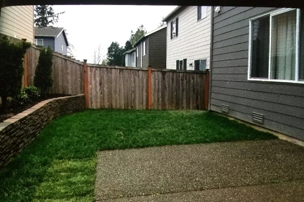 Star Remodeling & Demolition's other services